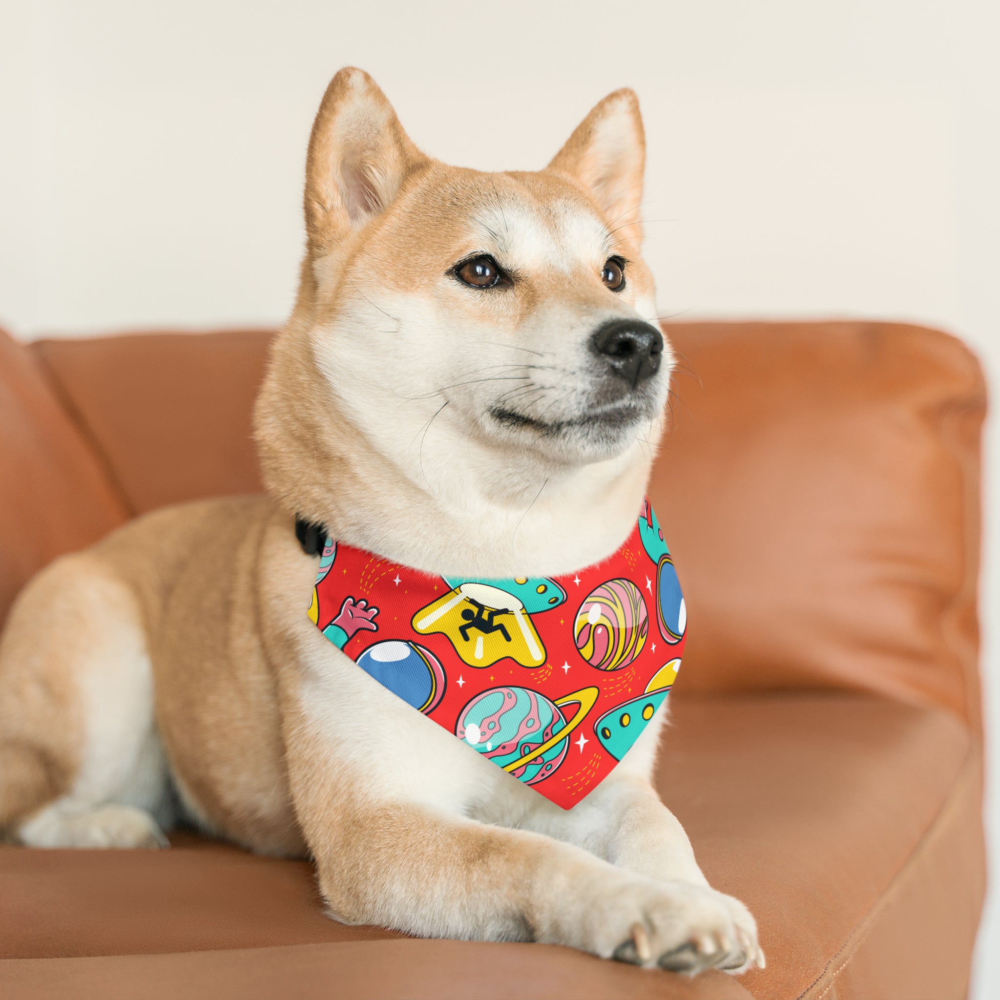 Pet Retro Pattern Bandana Collar