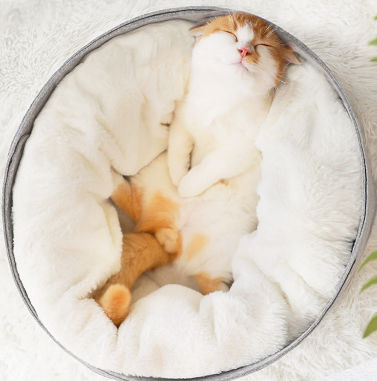 Pet Snuggle - Comfortable snuggle bed for Pets