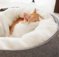 Pet Snuggle - Comfortable snuggle bed for Pets