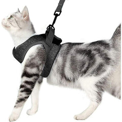 CozyCat Pet Harness and Leash